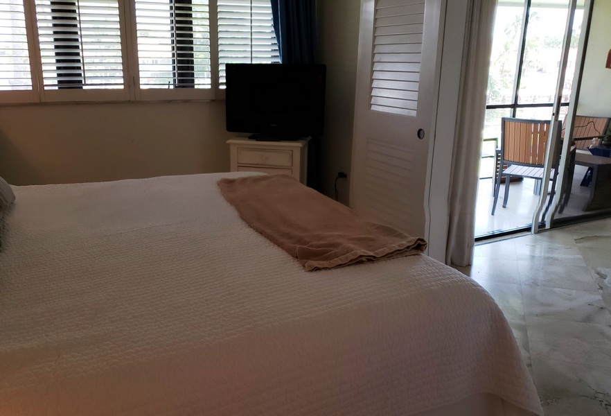 Master Bedroom View